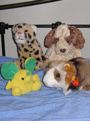 Timothy and his friends